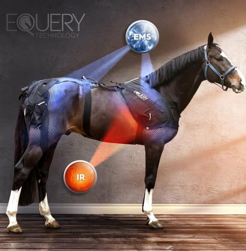 equery therapie